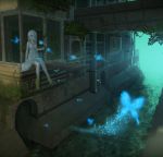  1girl building butterfly dress glowing_butterfly izumi_sai moss original overgrown ruins scenery silver_hair sitting solo vines water white_dress 