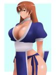  1girl absurdres arms_behind_back breasts brown_eyes brown_hair choker cleavage dead_or_alive highres hips japanese_clothes kagemusha kasumi_(doa) large_breasts long_hair solo thighs 