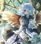  1girl animal_on_shoulder bird bird_on_shoulder blue_hair blush head_wings horns in_tree multicolored_hair piyokichi red_eyes short_hair silver_hair solo tokiko_(touhou) touhou tree two-tone_hair wings 