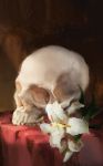  absurdres death flower highres jojo_no_kimyou_na_bouken jonathan_joestar lily_(flower) no_humans skull zluu 