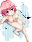  1girl bikini demon_tail from_above highres momo_velia_deviluke pink_hair short_hair solo swimsuit tail to_love-ru violet_eyes xyomouse 
