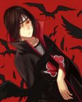  1boy akatsuki_(naruto) bird black_hair crow naruto red_eyes solo uchiha_itachi yuzuki_karu 