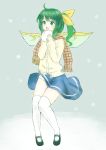  1girl absurdres daiyousei fairy fairy_wings green_eyes green_hair hair_ribbon highres mary_janes nagata_nagato pigeon-toed ribbon scarf shoes skirt snow solo touhou wings 