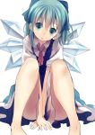  1girl blue_eyes blue_hair bow cirno dress hair_bow ice ice_wings looking_at_viewer opopowa short_hair simple_background sitting solo touhou white_background wings 