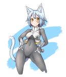  1girl animal_ears armor blue_hair blush bodysuit breasts cat_ears cat_tail covered_navel curvy gauntlets hands_on_hips looking_at_viewer orange_eyes original phantasy_star phantasy_star_online_2 ryota_tentei scar short_hair skin_tight smile solo tail tora_tentei vest wide_hips 