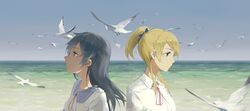  2girls ayase_eli back-to-back bird black_hair blonde_hair blue_eyes blue_sky bust gensou_kuro_usagi highres love_live!_school_idol_project multiple_girls ocean ponytail scrunchie seagull shirt sky sonoda_umi yellow_eyes 