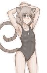  1girl animal_ears armpits arms_up collarbone gem grey_eyes grey_hair highres jewelry kuro_suto_sukii mouse_ears mouse_tail nazrin necklace pendant restricted_palette showing_armpits solo swimsuit tail touhou 