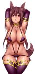 1girl animal_ears aoinagi armpits arms_behind_head arms_up bikini breasts brown_hair chestnut_mouth cleavage collarbone dog_ears dog_tail elbow_gloves gloves large_breasts long_hair open_mouth original purple_bikini purple_gloves purple_legwear solo swimsuit tail thigh-highs very_long_hair violet_eyes 