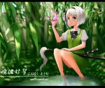  1girl bamboo bare_legs black_bow bowtie butterfly character_name feet_in_water grass green_eyes hairband katana knees_together_feet_apart konpaku_youmu letterboxed outdoors plant puffy_short_sleeves puffy_sleeves ribbon san_m shirt short_hair short_sleeves silver_hair sitting skirt skirt_set soaking_feet solo sword touhou vest water weapon white_shirt 