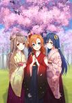  3girls blue_eyes blue_hair brown_eyes brown_hair cherry_blossoms grass hair_ornament highres holding japanese_clothes kimono kousaka_honoka long_hair looking_at_viewer love_live!_school_idol_project minami_kotori multiple_girls open_mouth orange_hair outdoors smile sonoda_umi sura_(mana0703) tree yellow_eyes 