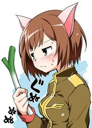  1girl akou_roushi animal_ears blush breasts brown_hair cat_ears commentary_request fang green_eyes gundam idolmaster idolmaster_cinderella_girls maekawa_miku military military_uniform short_hair simple_background solo spring_onion translation_request uniform zeon 