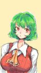  1girl ascot breasts green_hair highres honi kazami_yuuka large_breasts long_sleeves looking_to_the_side neck plaid plaid_vest red_eyes short_hair simple_background sketch solo touhou upper_body 