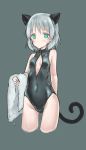  1girl amefre animal_ears breasts cat_ears cat_tail cleavage front_zipper_swimsuit green_eyes highres sanya_v_litvyak short_hair silver_hair small_breasts solo strike_witches tail towel 
