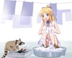  1girl :d animal blonde_hair blue_eyes bubble choker collarbone dress freckles hair_ribbon kaneko_(novram58) katharine_ohare laundry long_hair open_mouth panties panty_pull pantyshot pantyshot_(squatting) ponytail prawn raccoon ribbon ribbon_choker smile solo sponge squatting strike_witches underwear water white_dress white_panties 