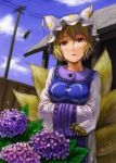  bee blonde_hair face flower hands_in_sleeves hydrangea kurione_(pixiv) kurione_(zassou) kyuubi looking_at_viewer multiple_tails orange_eyes solo tail telephone_pole touhou yakumo_ran 