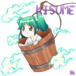  girl_in_bucket green_eyes green_hair in_bucket in_container kisume short_hair tougall touhou twintails 