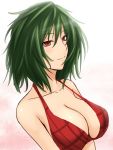  bikini bust cleavage green_hair kazami_yuuka plaid_bikini red_eyes short_hair shuugetsu_karasu smile swimsuit touhou 
