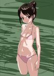  1girl bikini black_hair brown_eyes hair_bun original rohitsuka standing swimsuit 