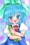  cirno commentary_request highres touhou yuzuna99 