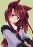  1girl animal_ears brown_hair dress green_background imaizumi_kagerou iris_anemone jewelry long_hair long_sleeves looking_at_viewer red_eyes simple_background solo touhou upper_body wolf_ears 