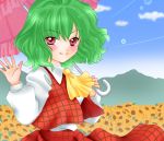  commentary_request green_hair kazami_yuuka skirt skirt_set touhou umbrella yuzuna99 