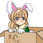  animal_ears box in_box in_container lowres maria-sama_ga_miteru paws rabbit_ears toudou_shimako 
