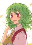  1girl ascot checkered_vest green_hair kazami_yuuka mokku petals red_eyes sketch solo touhou wavy_hair wind 