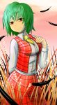  1girl arm_behind_back ascot breasts collared_shirt colored_eyelashes cowboy_shot feathers field green_hair hand_on_own_chest highres kazami_yuuka long_sleeves okahi plaid plaid_skirt plaid_vest red_eyes short_hair skirt smile solo sunset teeth touhou wheat_field 