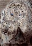  colored_pencil_(medium) highres hoppesatou leopard looking_at_viewer no_humans original spot_color traditional_media 