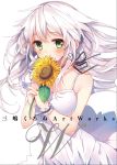  1girl anceril_sacred artbook bare_shoulders blush dress flower green_eyes hair_ornament long_hair looking_at_viewer mishima_kurone neck_ribbon original ribbon simple_background solo sunflower white_background white_dress white_hair wrist_ribbon 