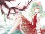  1girl alternate_hair_length alternate_hairstyle ascot bare_legs cherry_blossoms collared_shirt flower green_hair hair_flower hair_ornament kazami_yuuka leng_kui_lk long_hair long_sleeves looking_at_viewer looking_to_the_side parted_lips partially_submerged plaid plaid_skirt plaid_vest red_eyes simple_background sitting skirt smile solo teeth touhou tree vines water white_background 