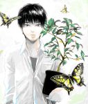  1boy black_hair blue_eyes butterfly cocoon drawr facing_viewer original plant potted_plant re:i shirt sleeves_rolled_up solo white_shirt 