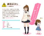  1girl apron bag brown_eyes brown_hair character_profile official_art ponytail skirt solo taneshima_popura translation_request working!! younger 