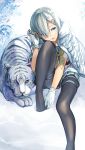  1girl animal blue_eyes coat fujita_(condor) gloves hamakaze_(kantai_collection) highres kantai_collection pantyhose school_uniform serafuku short_hair tiger white_gloves white_hair white_tiger 