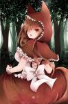  1girl alternate_costume animal_ears arano_oki breasts brown_hair dress hair_over_one_eye highres hood imaizumi_kagerou large_breasts long_hair looking_at_viewer looking_back open_mouth red_eyes solo tail touhou wolf_tail wrist_cuffs 
