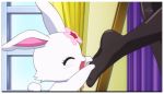  artist_request flower flower_on_head foot_hold foot_worship pantyhose rabbit tagme title 
