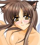   amber_eyes blush breasts brown_hair long_hair nekomimi  