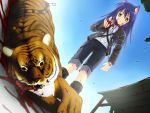  amber_eyes blood blue_hair boots chains collar hcg long_hair nekomimi shorts tiger wanko_to_kurasou 