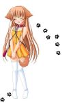  blush brown_hair closed_eyes collar dog_ears dog_tail doggirl dress flat_chest hands_clasped inumimi leash light_brown_hair loli long_hair nanami_to_konomi_no_oshiete_abc nishimura_nanami panties sin-go smile solo tail thigh_highs thighhighs underwear white_legwear white_panties zettai_ryouiki 