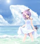  beach bow cat_ears collar dress highres nekomimi original purple_hair ribbon short_hair solo violet_eyes wet yukitarou_(awamori) 