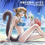 animal_ears beach bikini blonde_hair blue_eyes bof5 bofv breasts breath_of_fire breath_of_fire_v capcom cat_ears cat_tail catgirl claws fingernails lin_(breath_of_fire) long_fingernails long_hair multiple_girls nekomimi nina_(breath_of_fire_v) short_hair side-tie_panties swimsuit tail wings