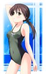  brown_hair gertrud_barkhorn hyokkori_tamago one-piece one-piece_swimsuit ponytail solo strike_witches swimsuit 