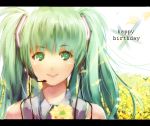  bad_id flower green_eyes green_hair hatsune_miku headset letterboxed nauribon petals smile solo spring_onion twintails vocaloid 