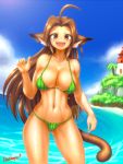  1girl ahoge animal_ears bikini borrowed_character breasts brown_eyes brown_hair cat_ears cat_tail cleavage cowboy_shot highres huge_ahoge large_breasts long_hair navel nestkeeper open_mouth original smile solo standing swimsuit tail toned watermelon_print yuki_(freelancemanga) 