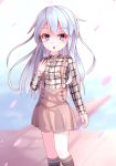  1girl alternate_costume blue_eyes blush cherry_blossoms commentary_request hibiki_(kantai_collection) highres kantai_collection kneehighs long_hair long_sleeves open_mouth silver_hair solo y_(sumikko_no_ousama) 