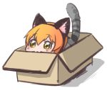  1girl :3 animal_ears box cardboard_box cat_ears cat_tail chibi hoshizora_rin love_live!_school_idol_project lowres ng_(kimjae737) orange_hair short_hair solo tail yellow_eyes 