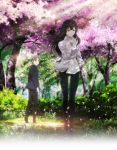  1boy 1girl black_hair brown_hair cherry_blossoms highres kujou_sakurako_(sakurako) long_hair official_art petals sakurako-san_no_ashimoto_ni_wa_shitai_ga_umatteiru short_hair tatewaki_shoutarou tree 