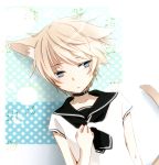  aldnoah.zero animal_ears blonde_hair blue_eyes cat_ears cat_tail kemonomimi_mode sailor_collar silver_hair slaine_troyard tail tsukimori_usako 