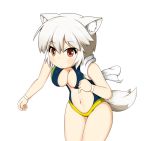  1girl animal_ears bare_arms bare_shoulders belly blush breasts cleavage competition_swimsuit hitotsubashi_inari inubashiri_momiji leaning_forward looking_at_viewer navel one-piece_swimsuit red_eyes revealing_clothes short_hair solo swimsuit tail thighs touhou towel towel_around_neck white_hair wolf_ears wolf_tail wristband 