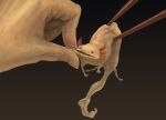  axolotl cheek_pinching chopsticks hands highres kodama_(artist) original pinch_cheeks pinching salamander 